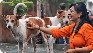 Woman with dogs
