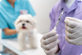 Sterilization